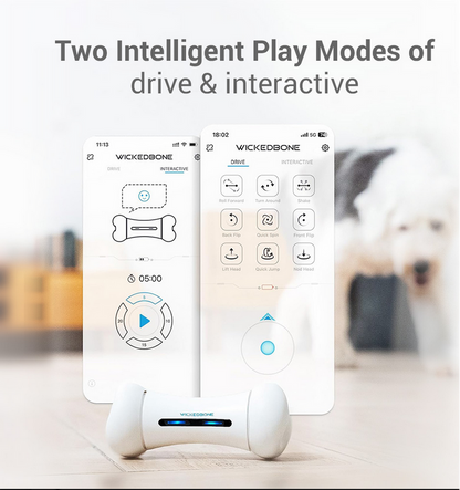 Cheerble App Control Indoor Outdoor Bone Shape Interactive Dog Toy Wickedbone